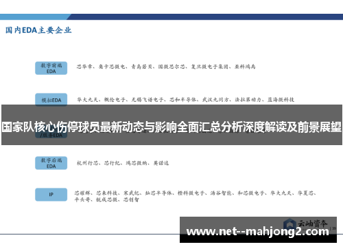 国家队核心伤停球员最新动态与影响全面汇总分析深度解读及前景展望 国家队核心伤停球员最新动态与影响全面汇总分析深度解读及前景展望